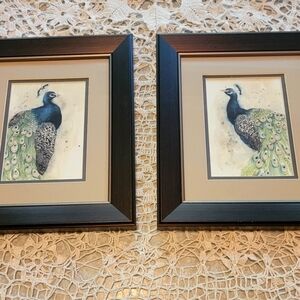 Set of peacock pictures